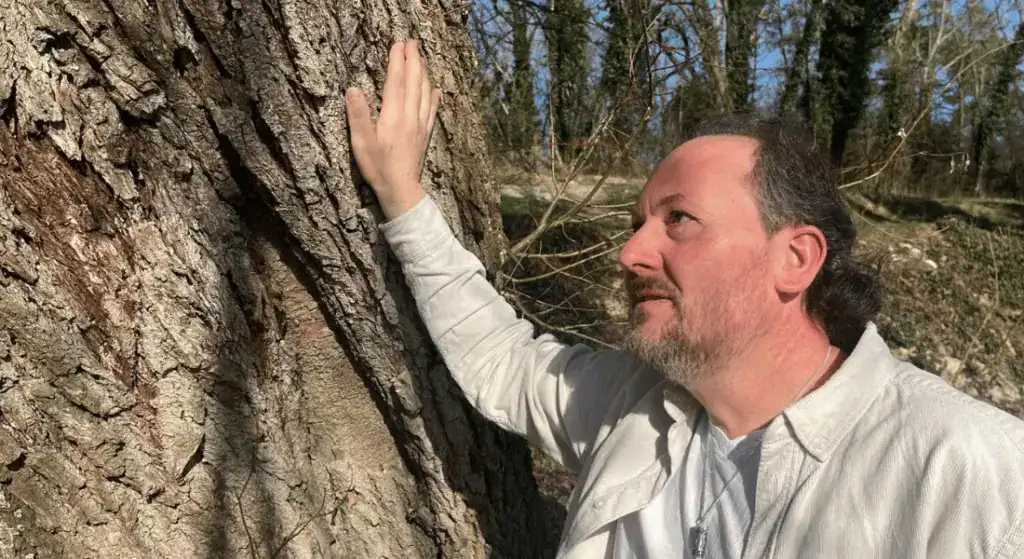 Rückenschmerzen Ursache – Roland in der Natur als Symbol für Stabilität und Wurzeln