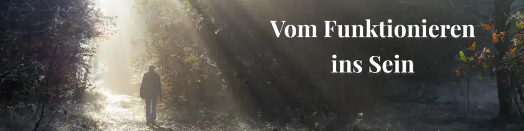 Mensch auf einem Waldweg im Licht – Symbolbild für den Weg vom Funktionieren ins Sein
